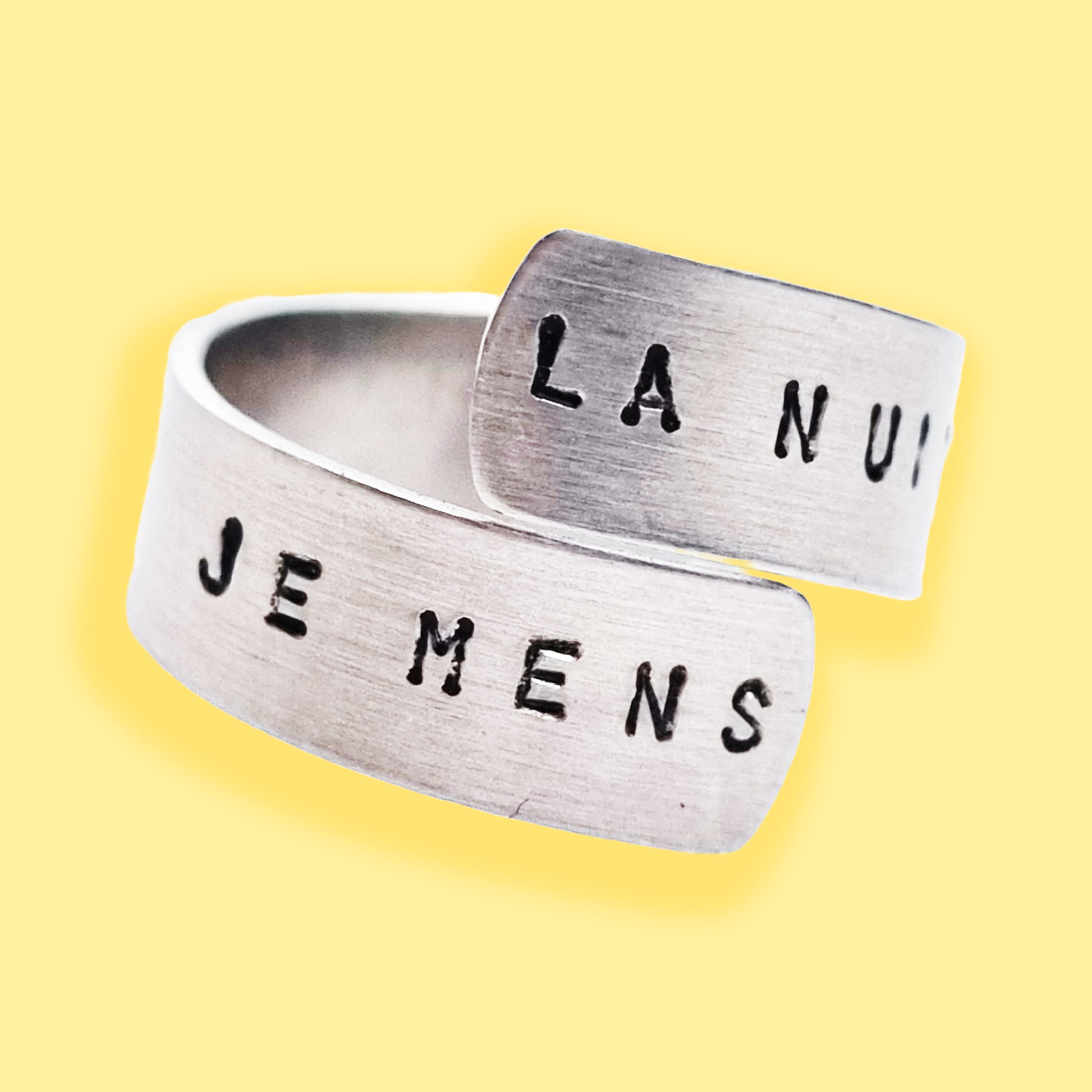 bijou bague alain bashung la nuit je mens 5